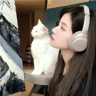 寒鸦情深