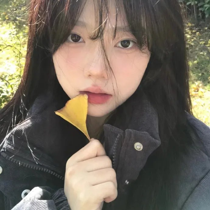 彩叶草之梦